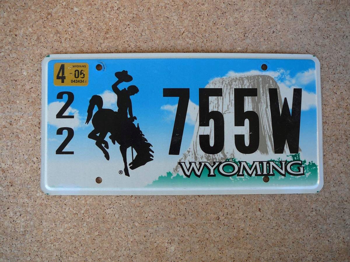Americká SPZ Wyoming 22755W – Bucking Horse 2005