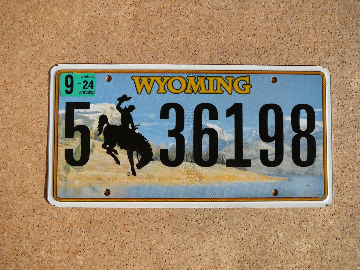 Americká SPZ Wyoming 5 36198 – Bucking Horse 2024